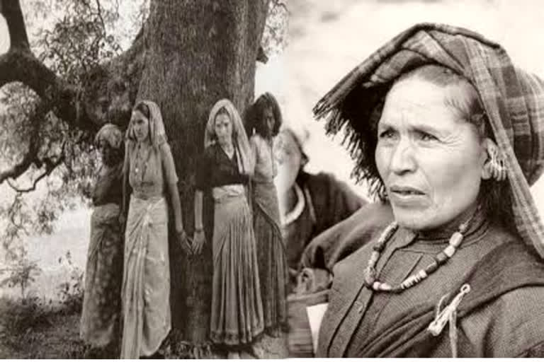 chipko andolan